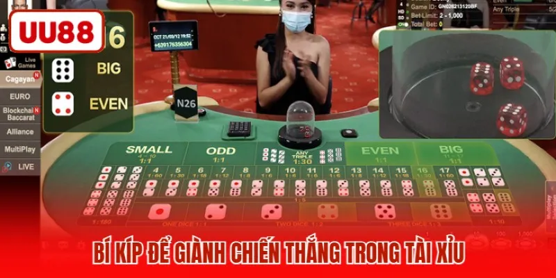 Bí kíp để giành chiến thắng trong Tài xỉu