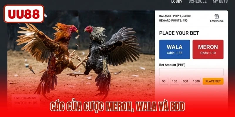 Các cửa cược Meron, Wala và BDD