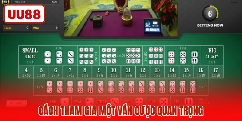 Cách tham gia một ván cược quan trọng