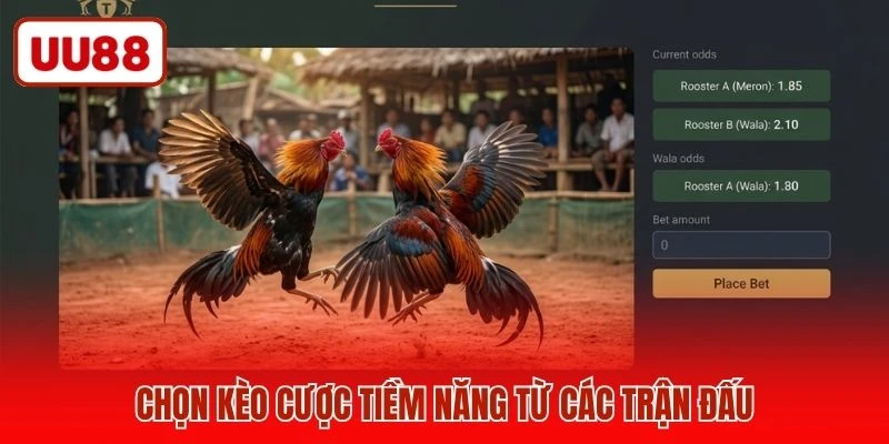 Chọn kèo cược tiềm năng từ các trận đấu