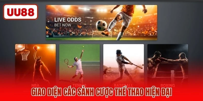 Giao diện các sảnh cược thể thao hiện đại