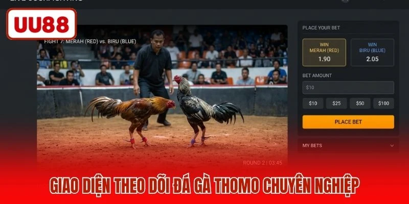 Giao diện theo dõi đá Gà Thomo chuyên nghiệp