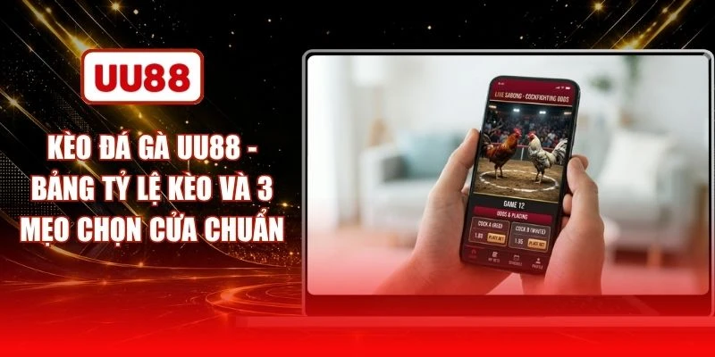 Kèo Đá Gà UU88 - Bảng Tỷ Lệ Kèo Và 3 Mẹo Chọn Cửa Chuẩn