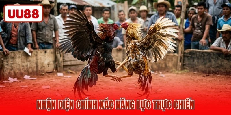 Nhận diện chính xác năng lực thực chiến
