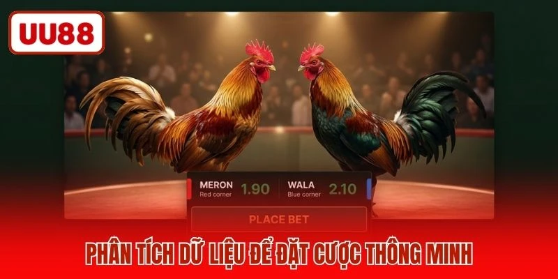 Phân tích dữ liệu để đặt cược thông minh